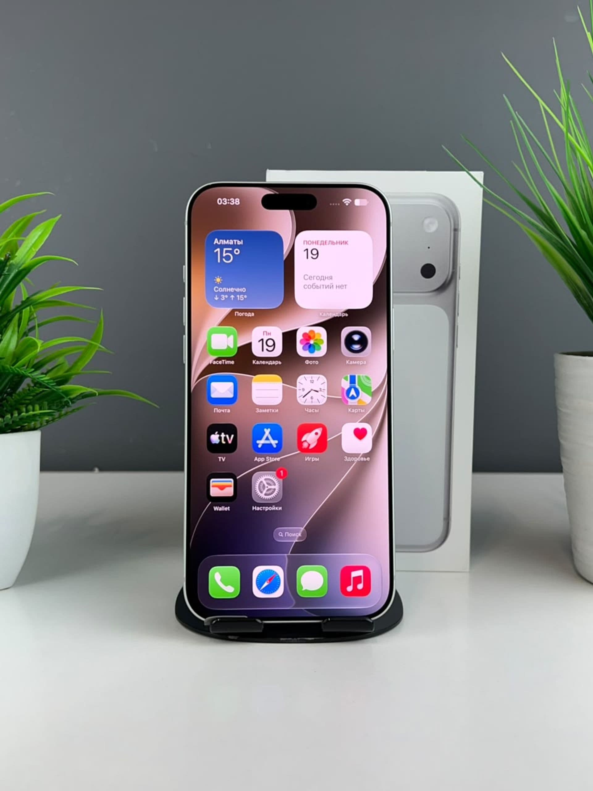 iPhone 17 Pro Max, 256 ГБ, Серый — фото 3