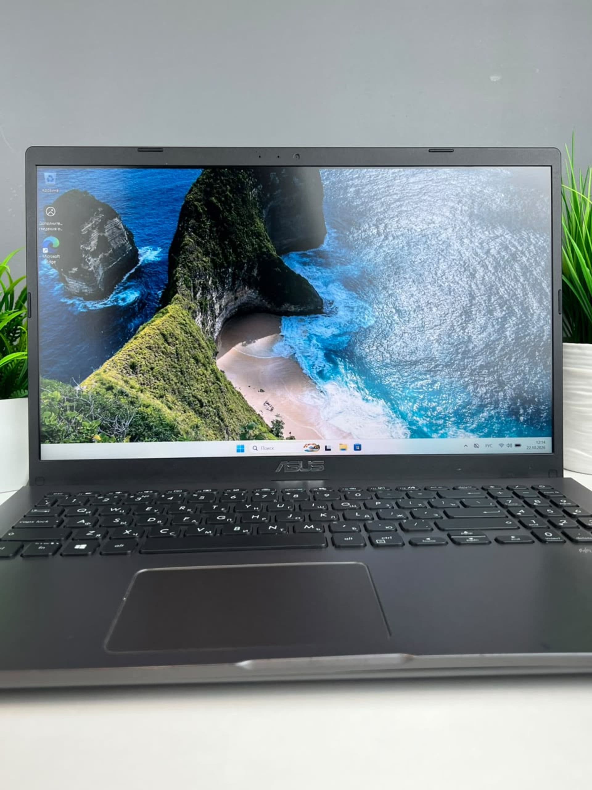 ASUS Core i3, 4 ГБ / 1 ТБ, 15.4″, Сұр — фото 3
