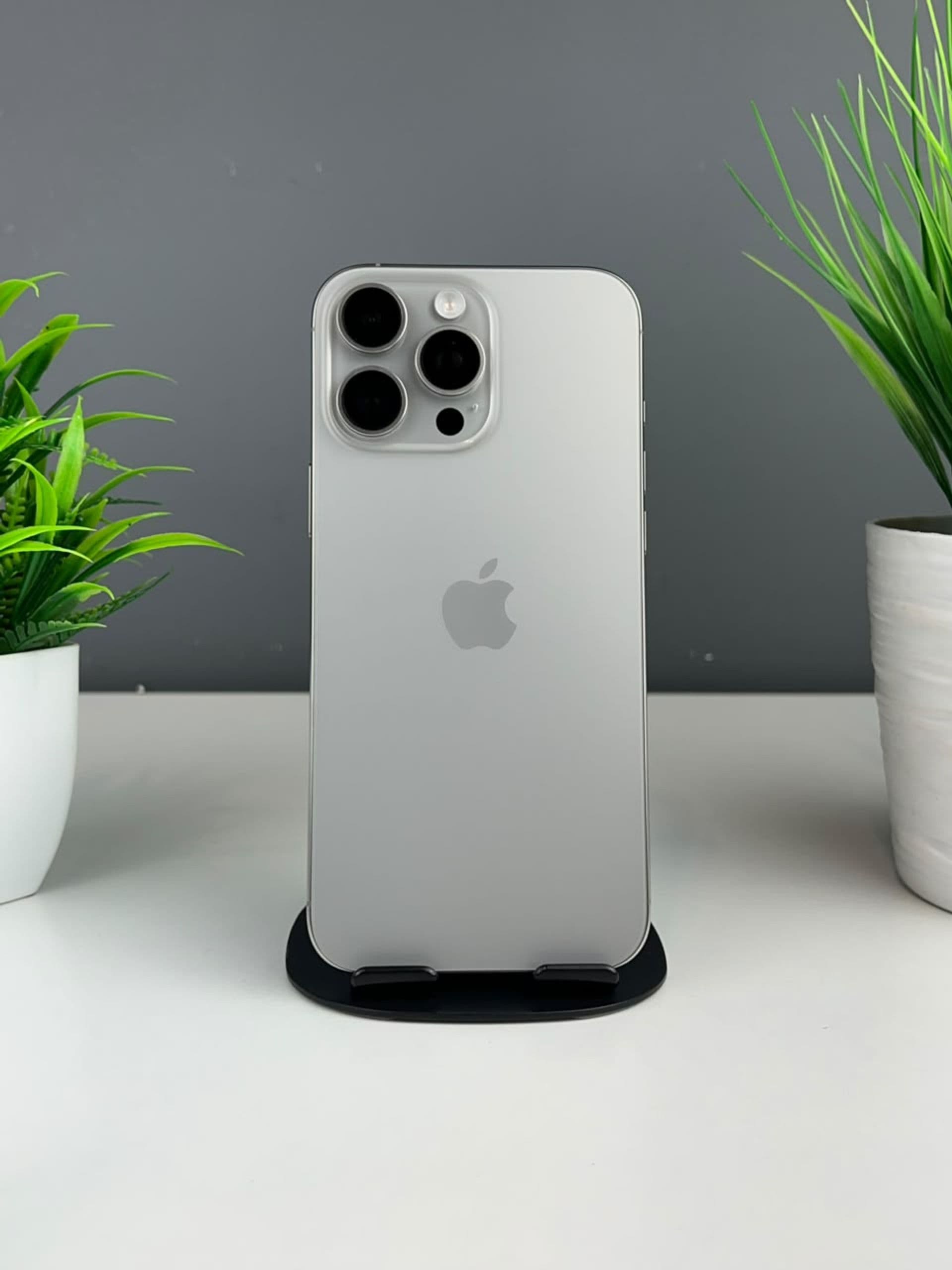 iPhone 16 Pro Max, 256 ГБ, Серебристый
