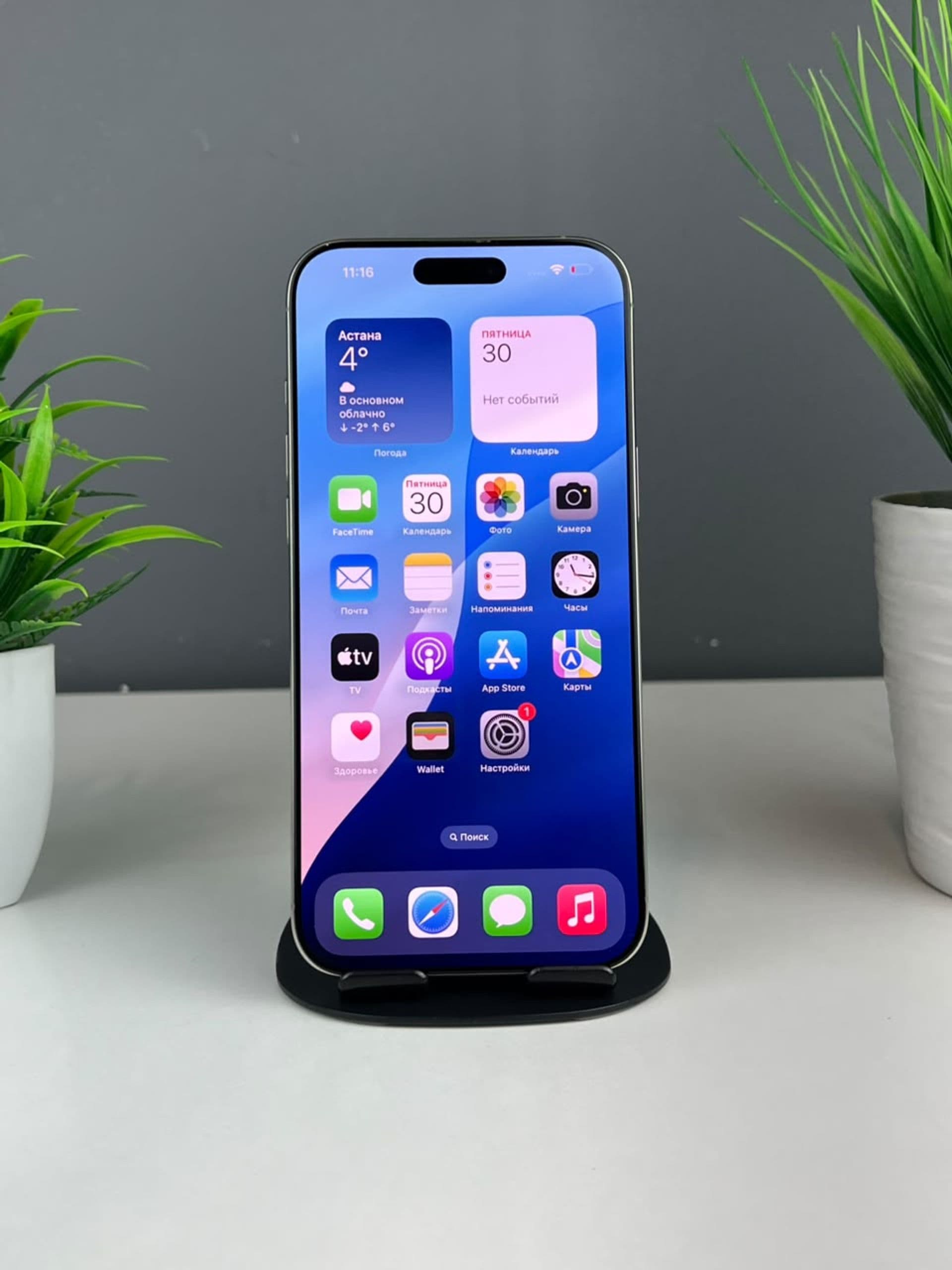 iPhone 16 Pro Max, 256 ГБ, Серебристый — фото 2