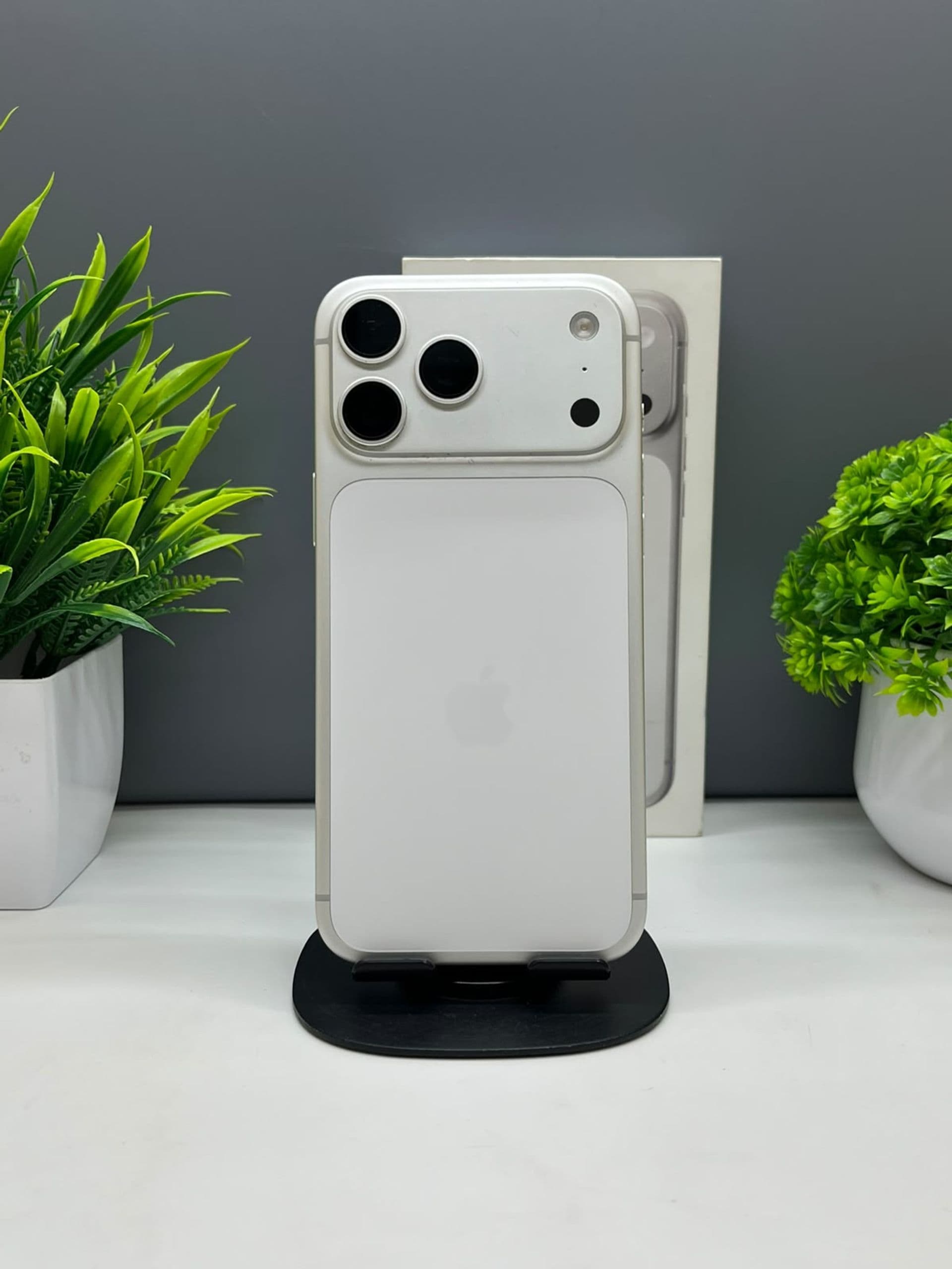 iPhone 17 Pro Max, 256 ГБ, Серебристый