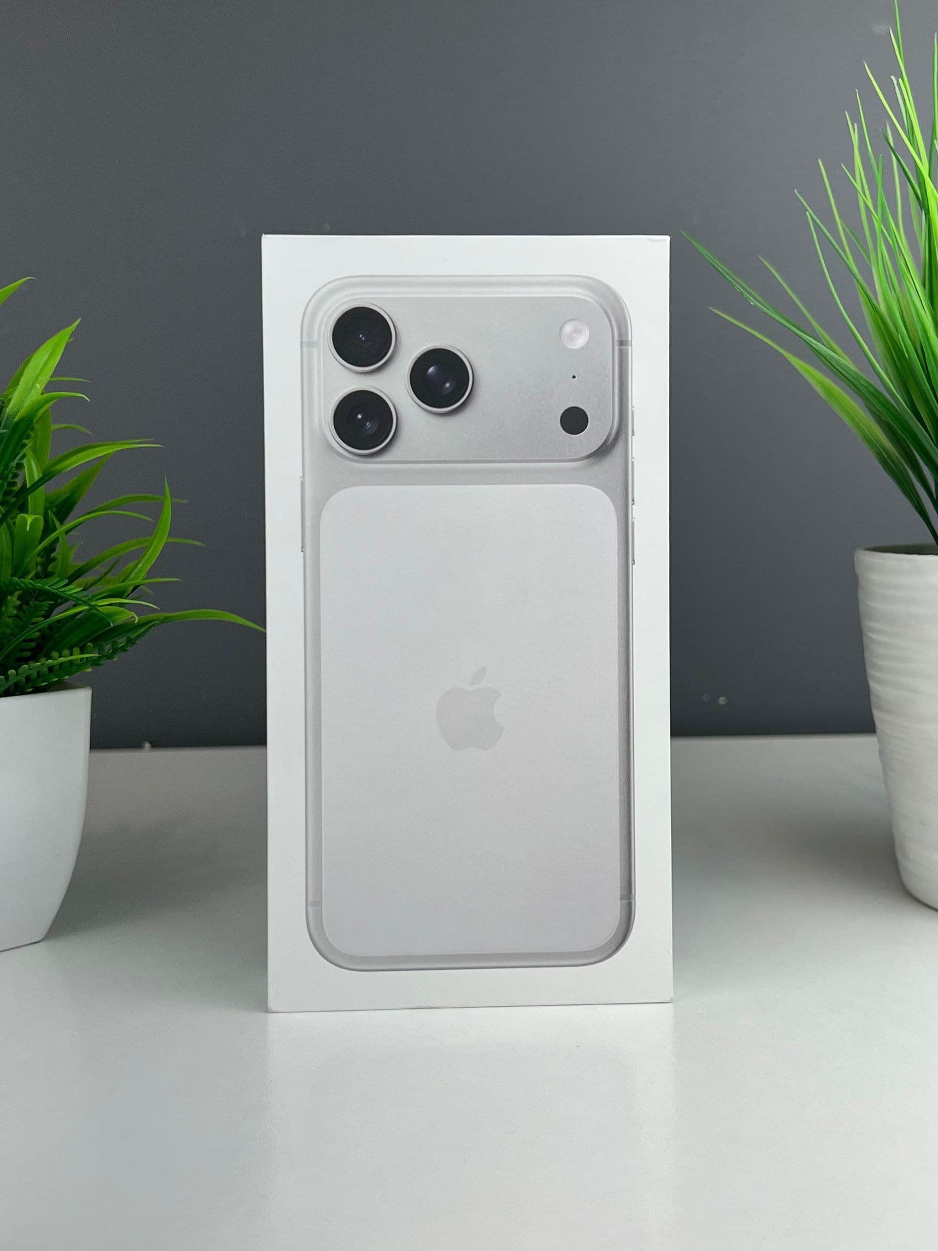 iPhone 17 Pro Max, 256 ГБ, Серебристый